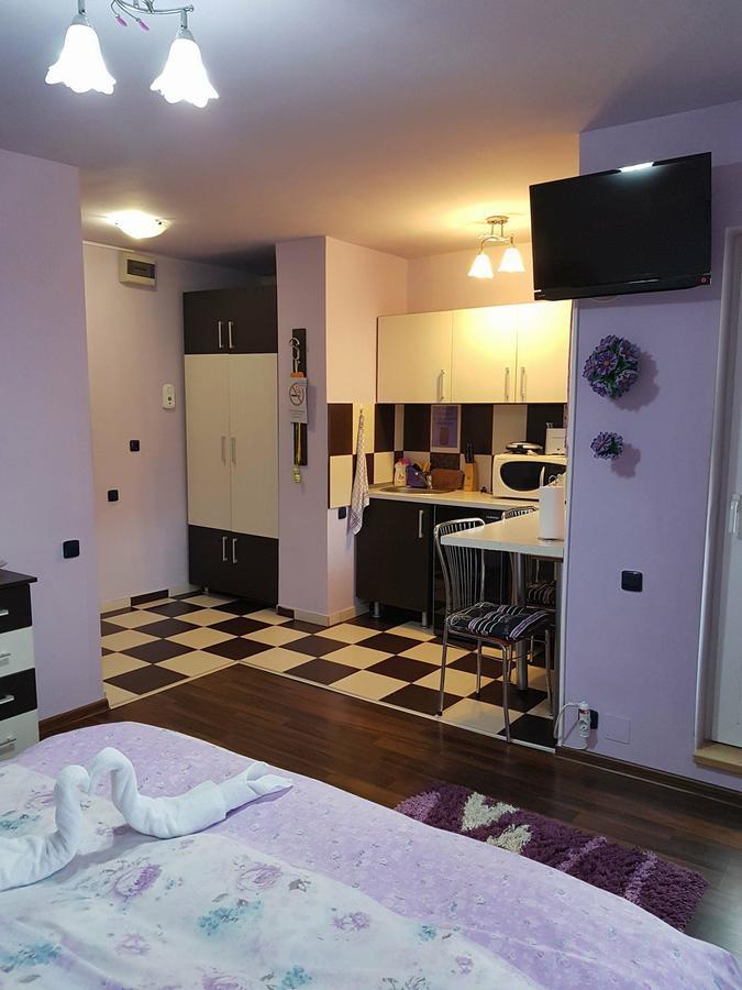 Garsoniera Cristina Appartement Băile Felix Buitenkant foto