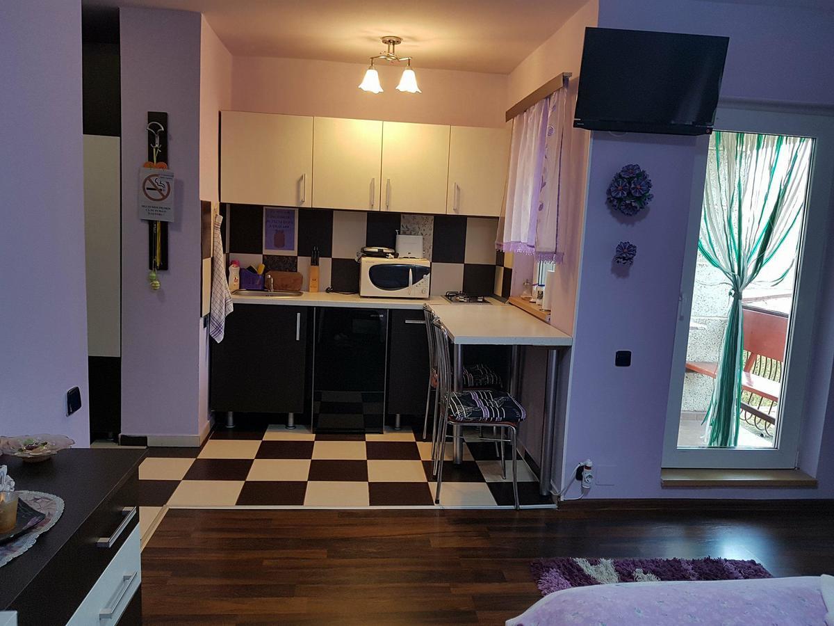 Garsoniera Cristina Appartement Băile Felix Buitenkant foto