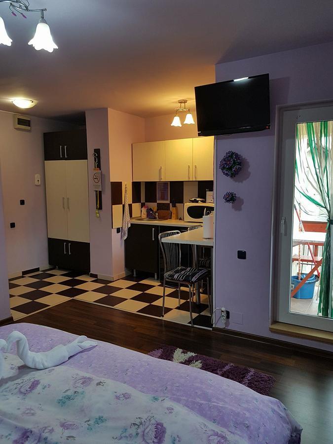 Garsoniera Cristina Appartement Băile Felix Buitenkant foto