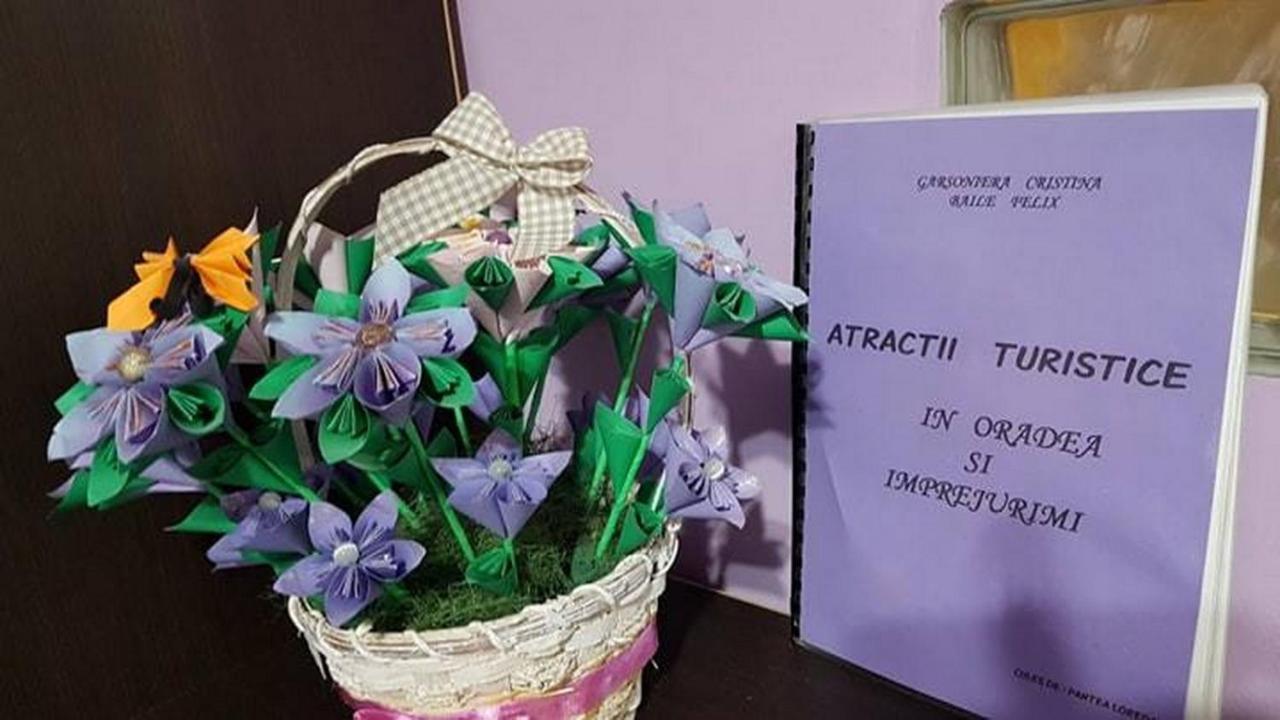 Garsoniera Cristina Appartement Băile Felix Buitenkant foto