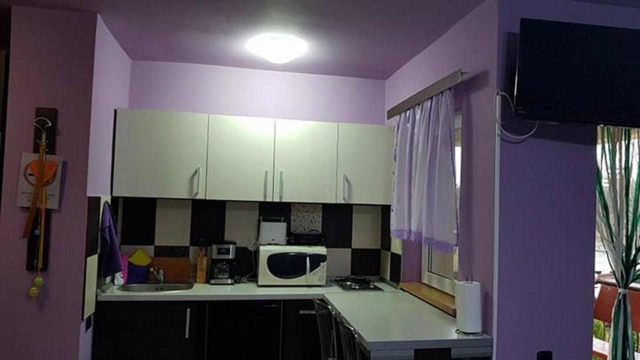 Garsoniera Cristina Appartement Băile Felix Buitenkant foto